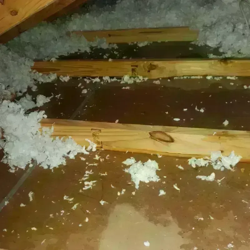 Attic Water Damage in Talty, TX