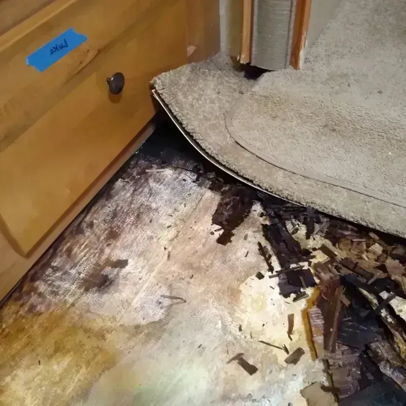 Wood Floor Water Damage in Talty, TX